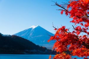 Haneda – Hakone – Gotemba – ngũ hồ Phú Sĩ – Tokyo – Nikko – Odaiba
