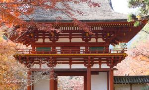 Tour tham quan Kyoto, Nara, Kobe một ngày