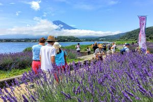 1 ngày tham quan núi Phú Sĩ và hồ Kawaguchi
