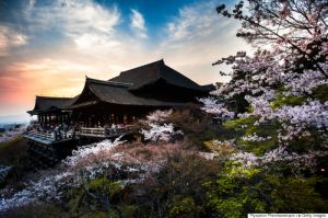 Hành trình tới xứ sở Phù Tang 2018 (HCM-KANSAI-KYOTO-OSAKA-FUJI MOUNT-TOKYO-HCM)