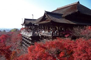 Du lịch Nhật Bản: HÀ NỘI - TOKYO - KYOTO - OSAKA