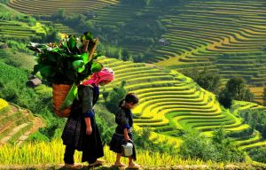 Du lịch Sapa: HÀ NỘI - SAPA - HÀ NỘI